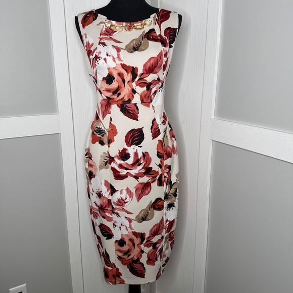 En Focus Studio Womens Floral Sleeveless Sheath Dress Sz 4 Beige Pink Pullover - Picture 1 of 10